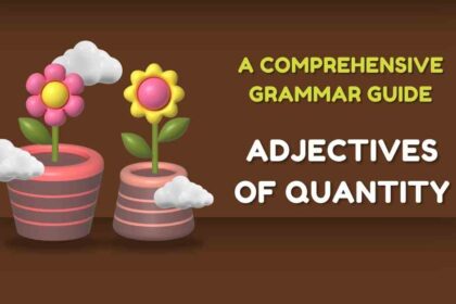 Adjectives of Quantity