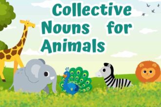 Collective Nouns for Animals