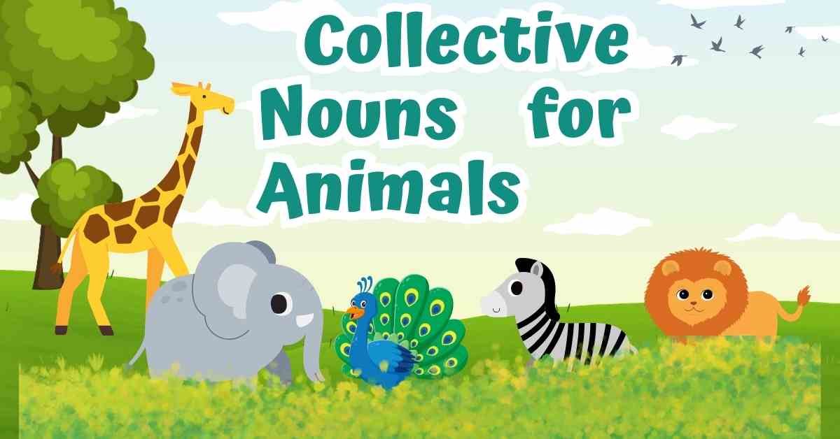 Collective Nouns for Animals