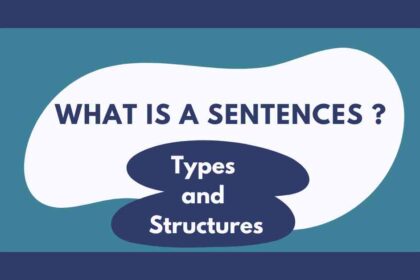 what is a sentences