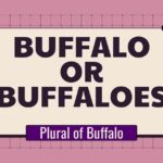 Buffalo or Buffaloes
