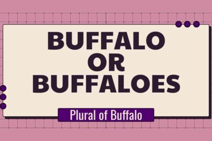 Buffalo or Buffaloes
