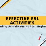 Effective ESL Activities