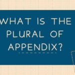 What Is the Plural of Appendix
