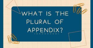 What Is the Plural of Appendix