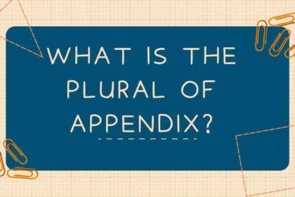 What Is the Plural of Appendix