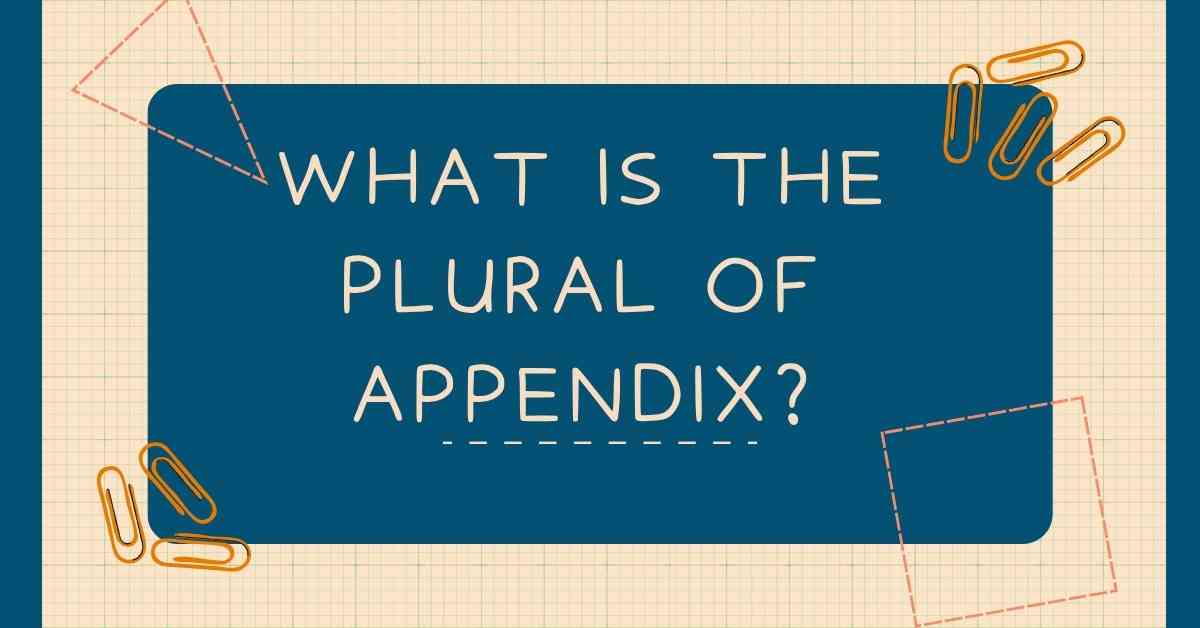 What Is the Plural of Appendix