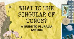 What Is the Singular of Tongs