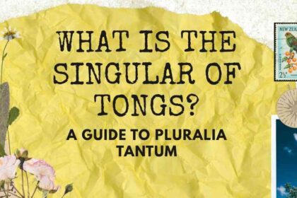 What Is the Singular of Tongs