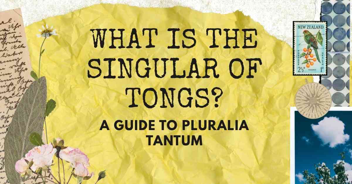 What Is the Singular of Tongs