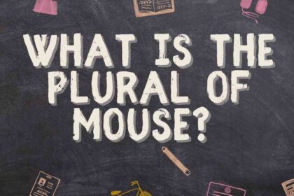 What is the Plural of Mouse