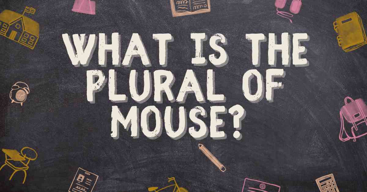 What is the Plural of Mouse