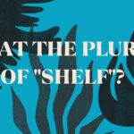 what the Plural of Shelf