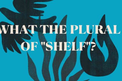 what the Plural of Shelf