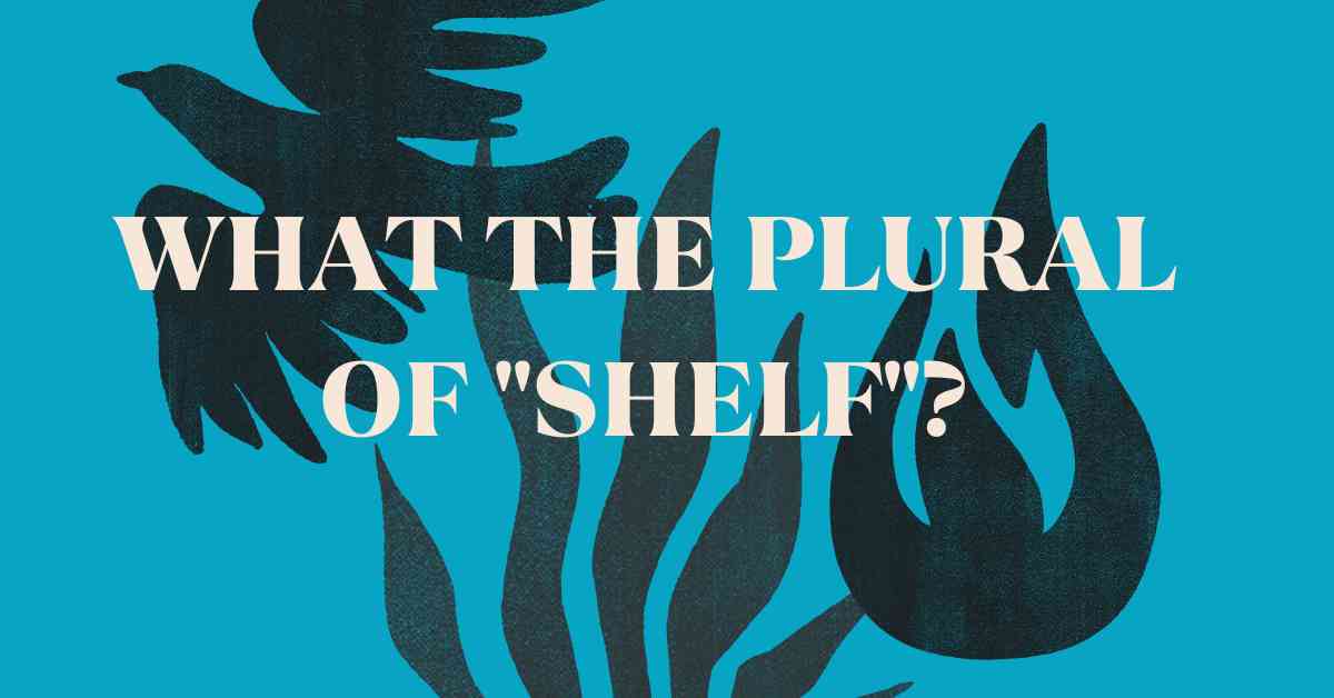 what the Plural of Shelf