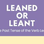 Leaned or Leant