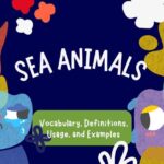Sea Animals