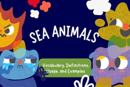 Sea Animals