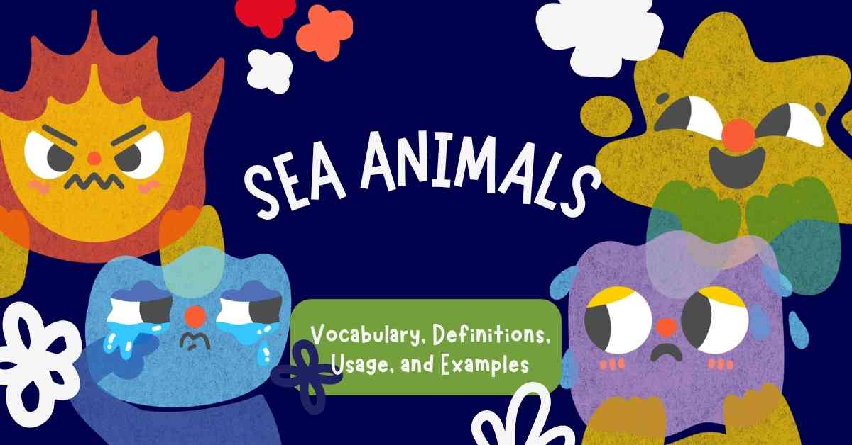 Sea Animals