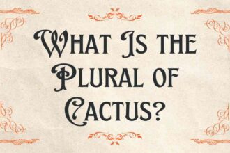 What Is the Plural of Cactus