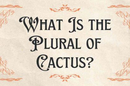 What Is the Plural of Cactus
