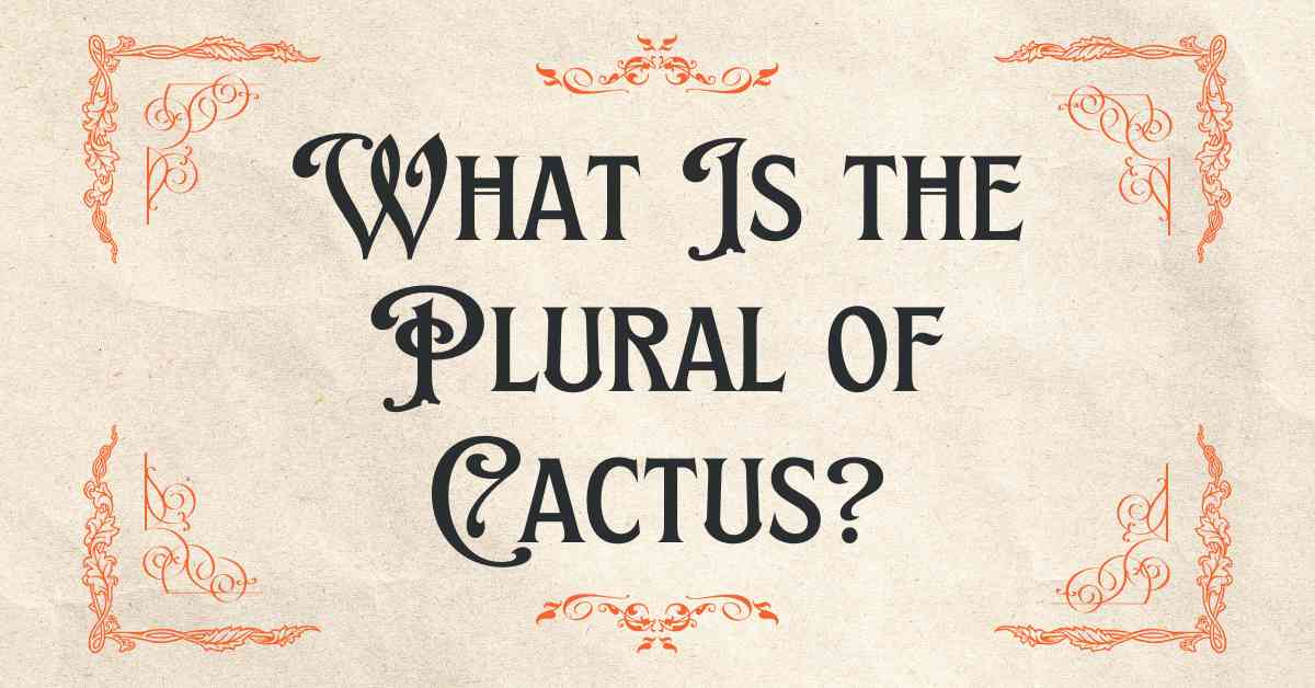 What Is the Plural of Cactus