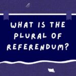What Is the Plural of Referendum