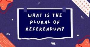 What Is the Plural of Referendum