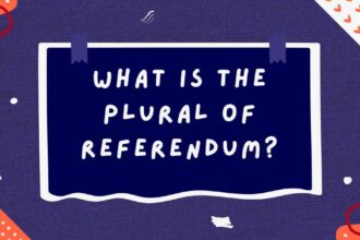What Is the Plural of Referendum