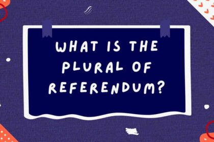 What Is the Plural of Referendum