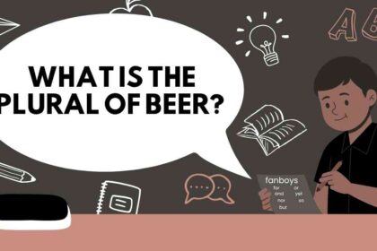 What is the Plural of Beer