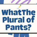 What The Plural of Pants