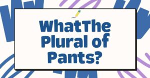What The Plural of Pants