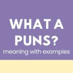 what a puns