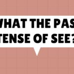 what the Past Tense of See