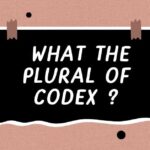 what the Plural of Codex