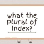 what the Plural of Index
