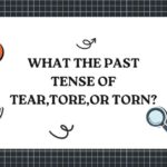 what the past tense of tear tore or torn