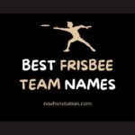 Frisbee Team Names
