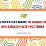 Vegetables Name in Marathi and English with Pictures