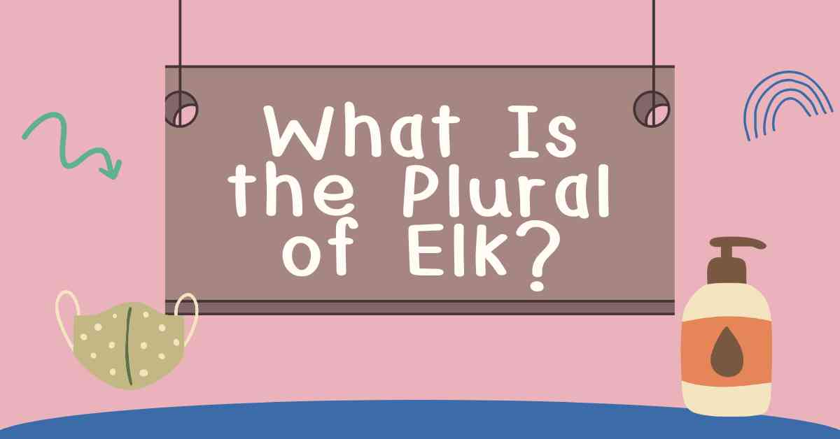 What Is the Plural of Elk