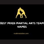 mixed martial arts team names
