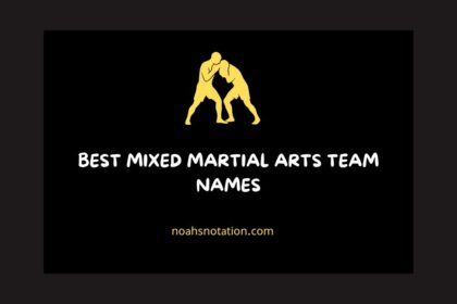 mixed martial arts team names