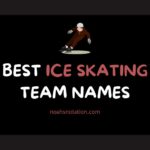 ice skating team names
