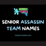 senior assassin team names