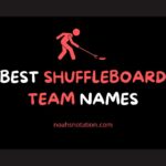 shuffleboard team names