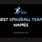 spikeball team names