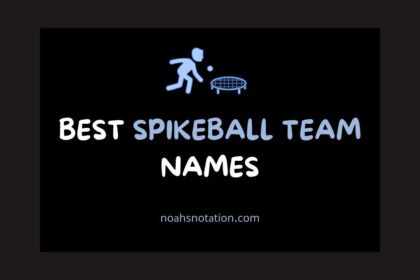 spikeball team names