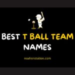 t ball team names