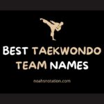 taekwondo team names